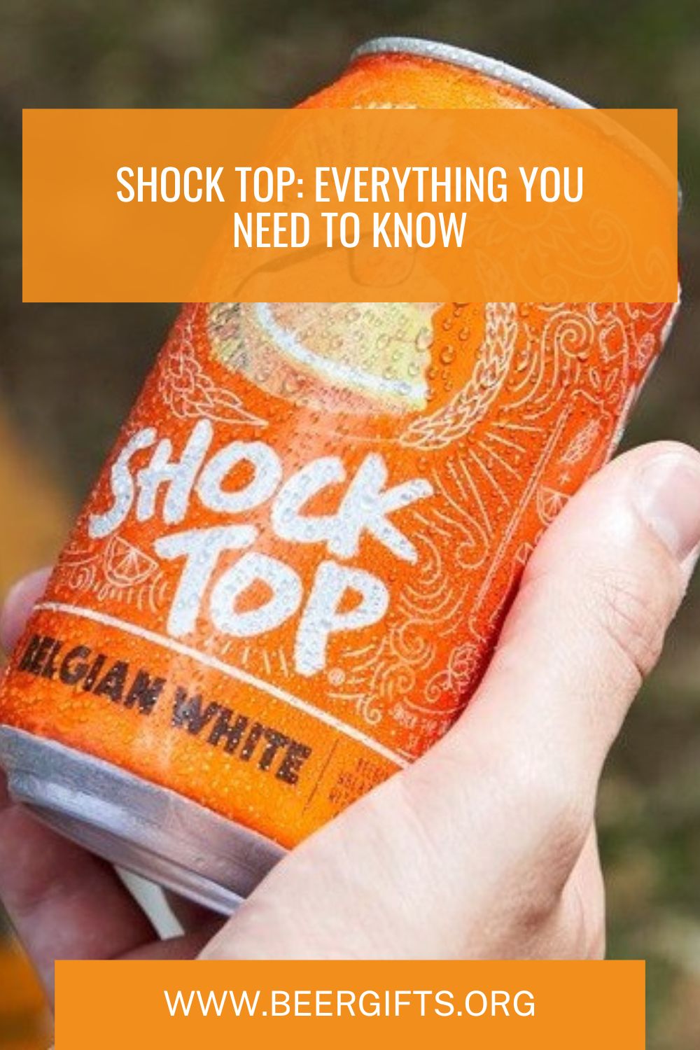 Shock Top Everything You Need to Know 1