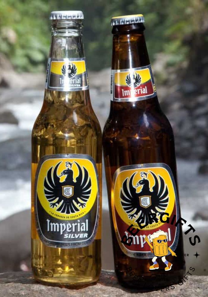 What Is An Imperial Beer? Everything You Need To Know4