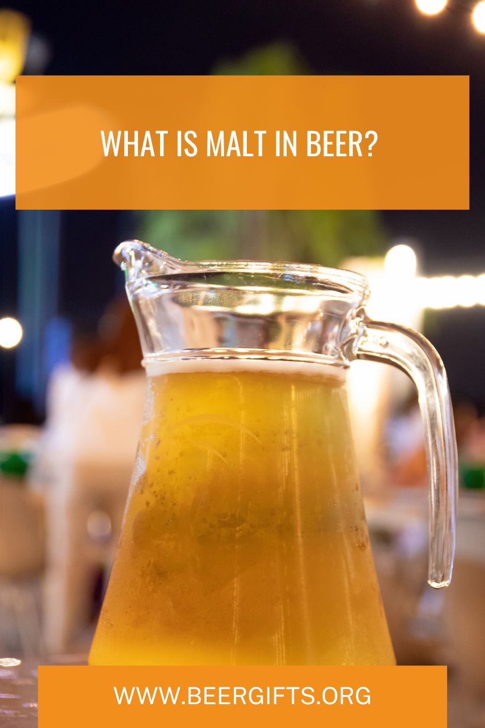 What is Malt in Beer1