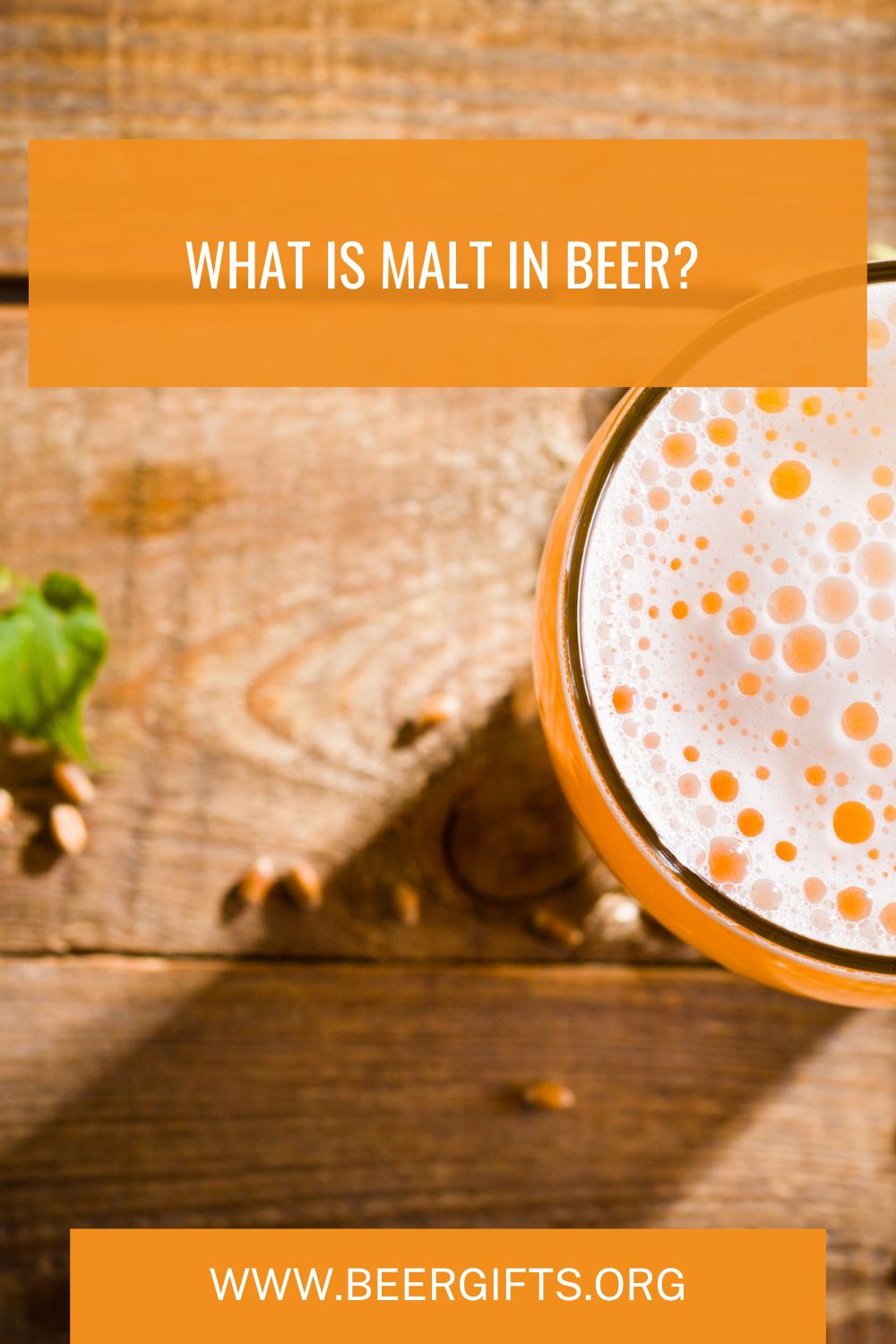 What is Malt in Beer8