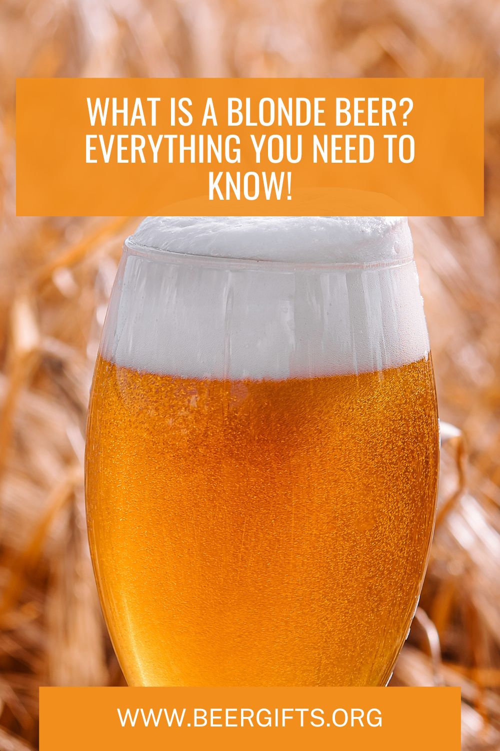 What is a Blonde Beer? Everything You Need to Know10