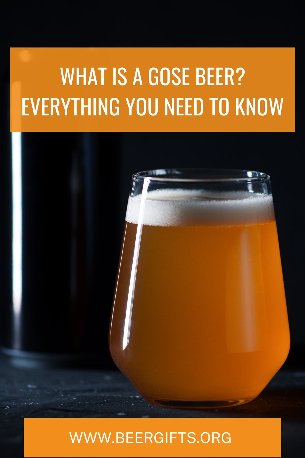 What is a Gose Beer? Everything You Need to Know5