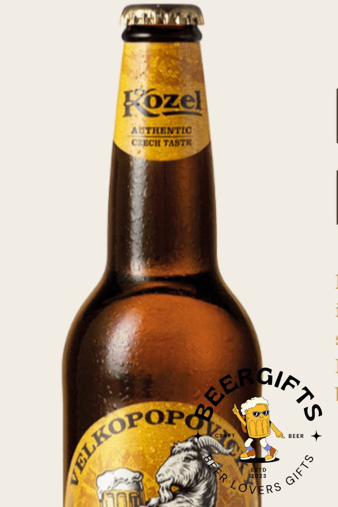15 Best Czech Beers 7
