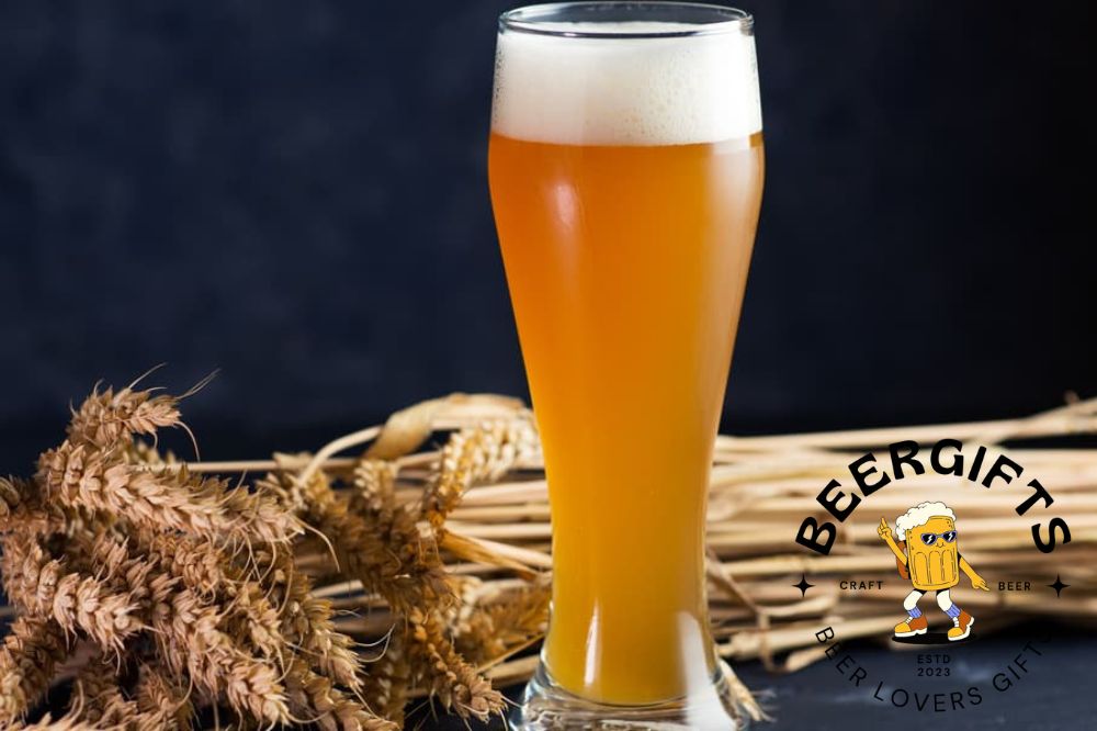 15 Best Wheat Beer Brands You May Like 1