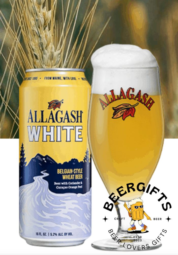 15 Best Wheat Beer Brands You May Like11