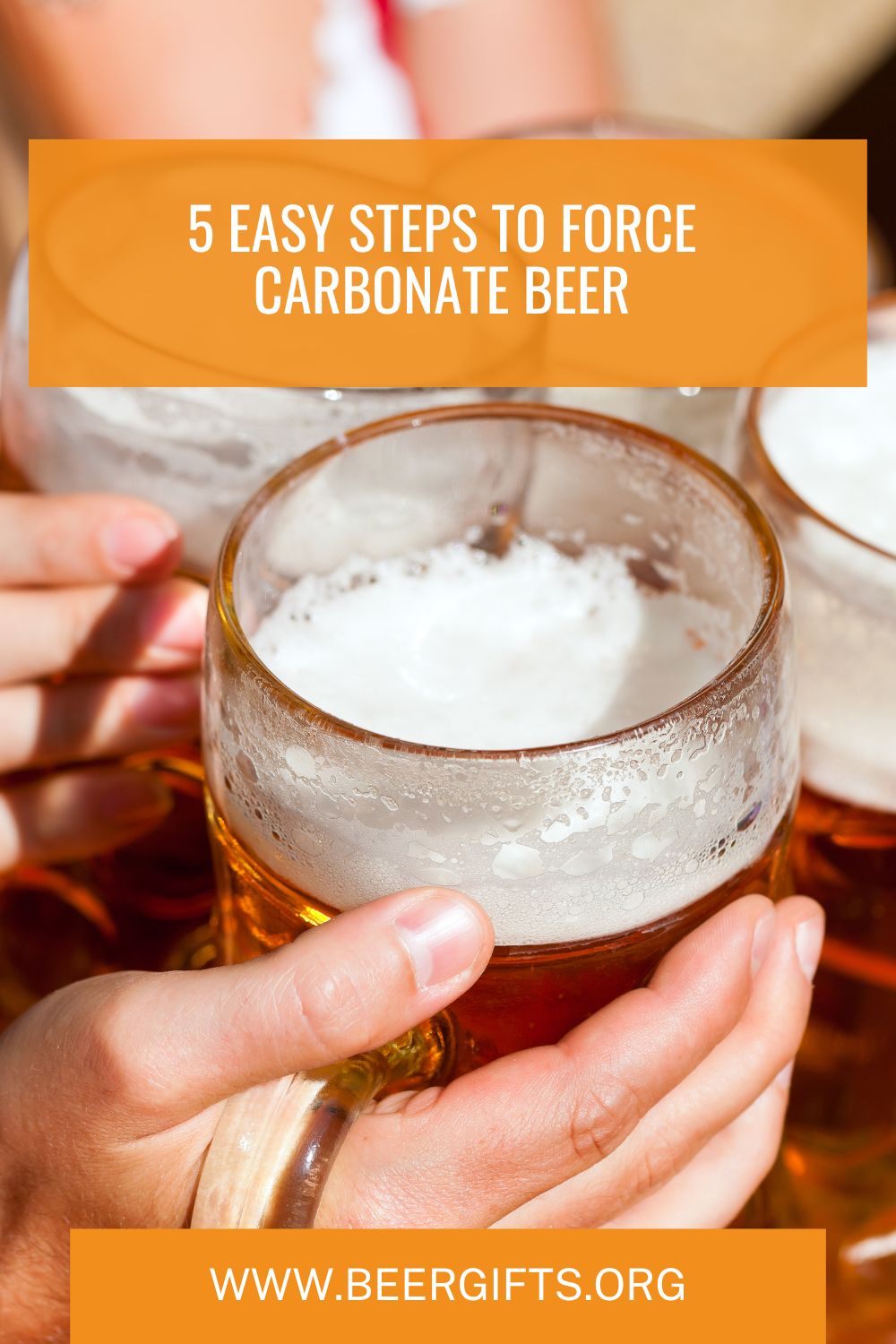 5 Easy Steps to Force Carbonate Beer2