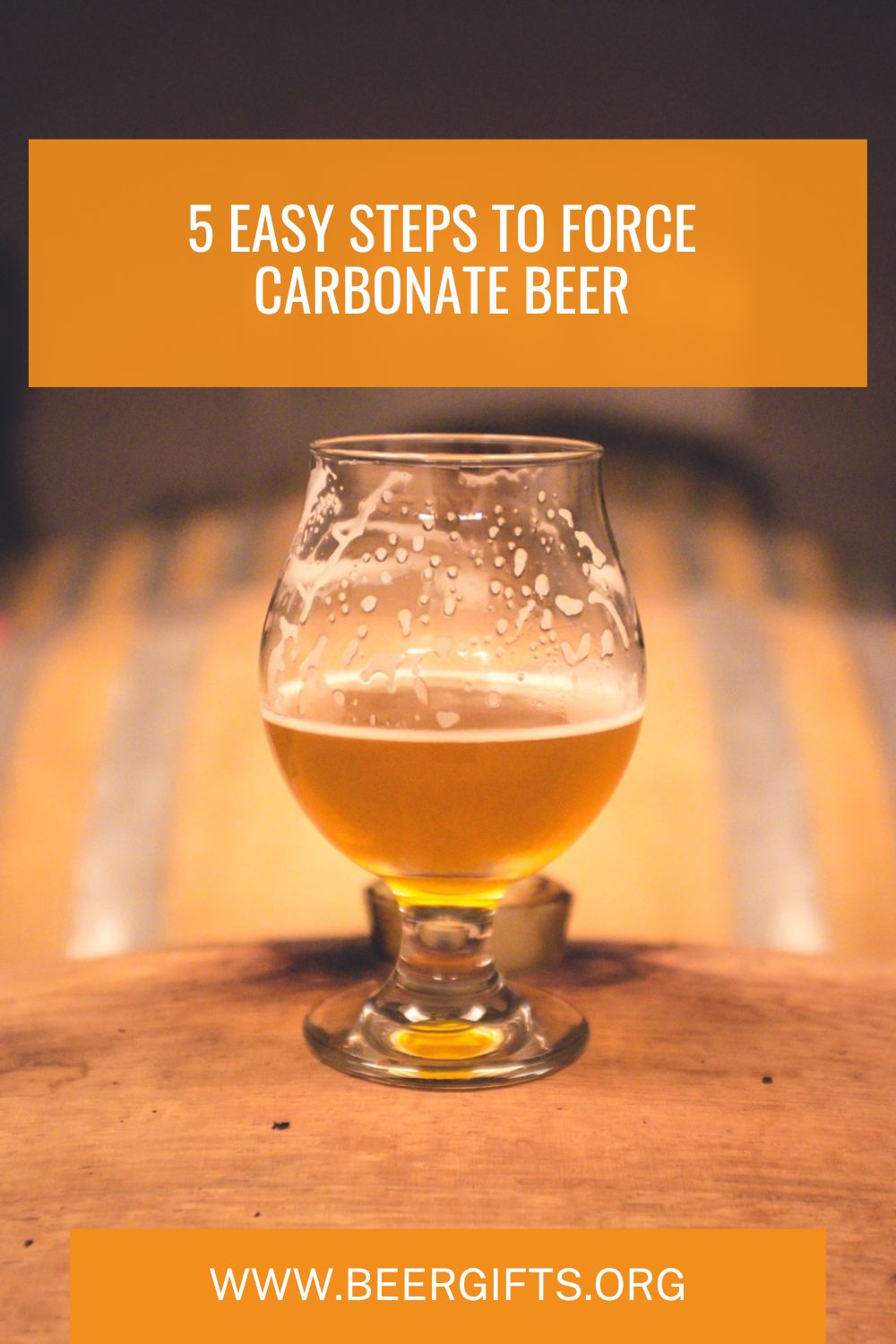 5 Easy Steps to Force Carbonate Beer9