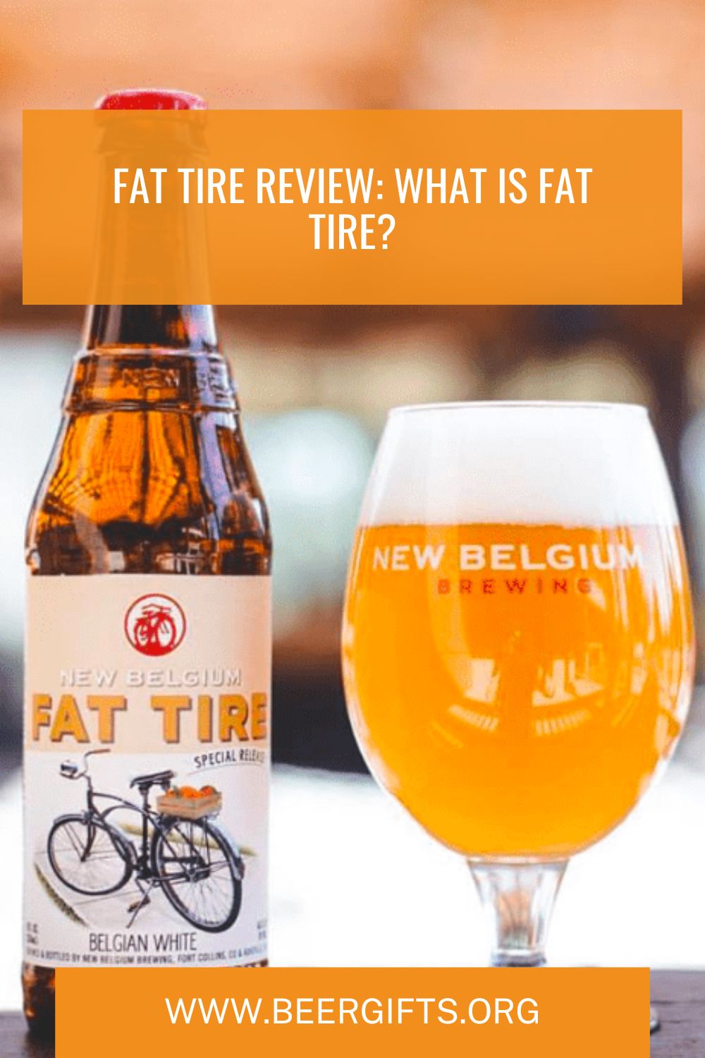 Fat Tire Review 1