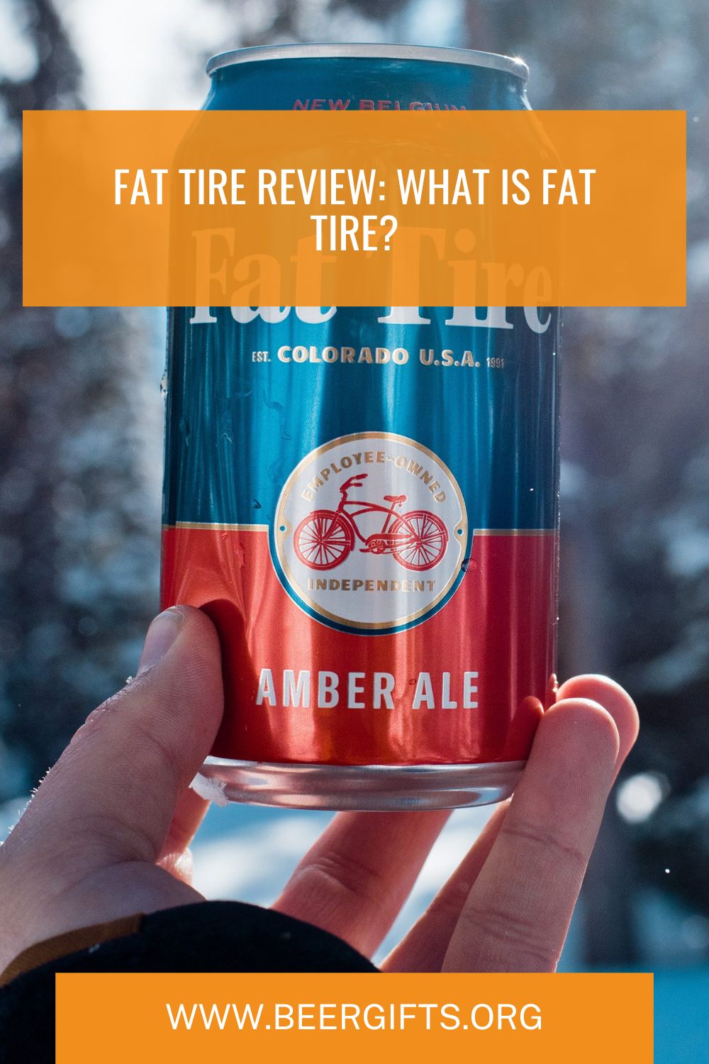 Fat Tire Review 5