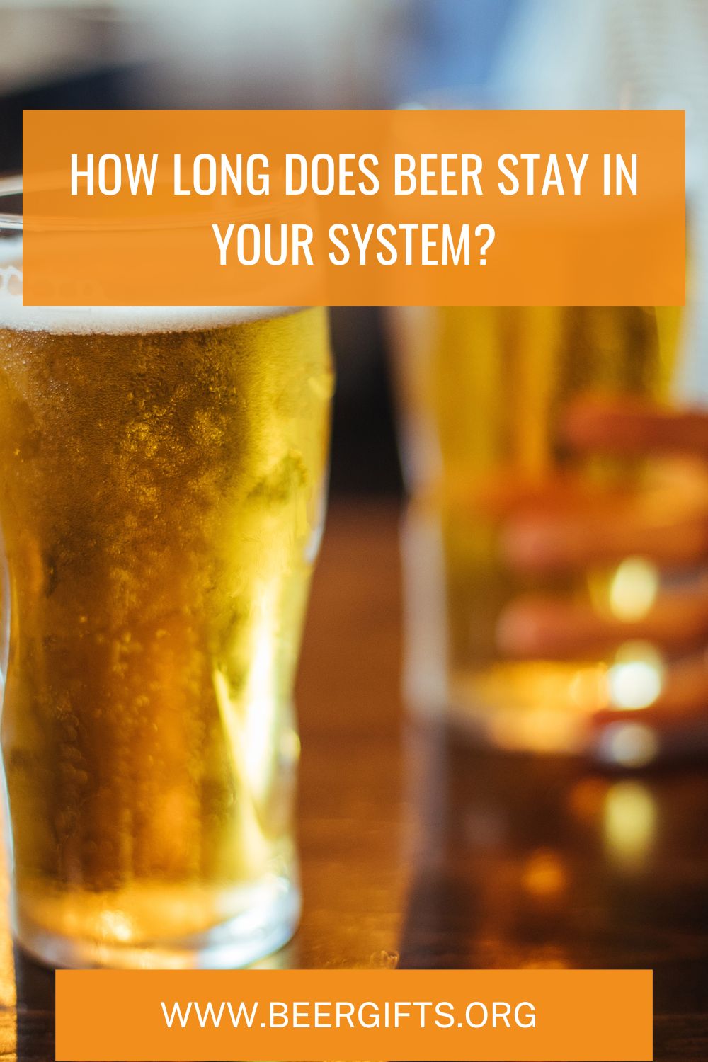 How Long Does Beer Stay in Your System?1