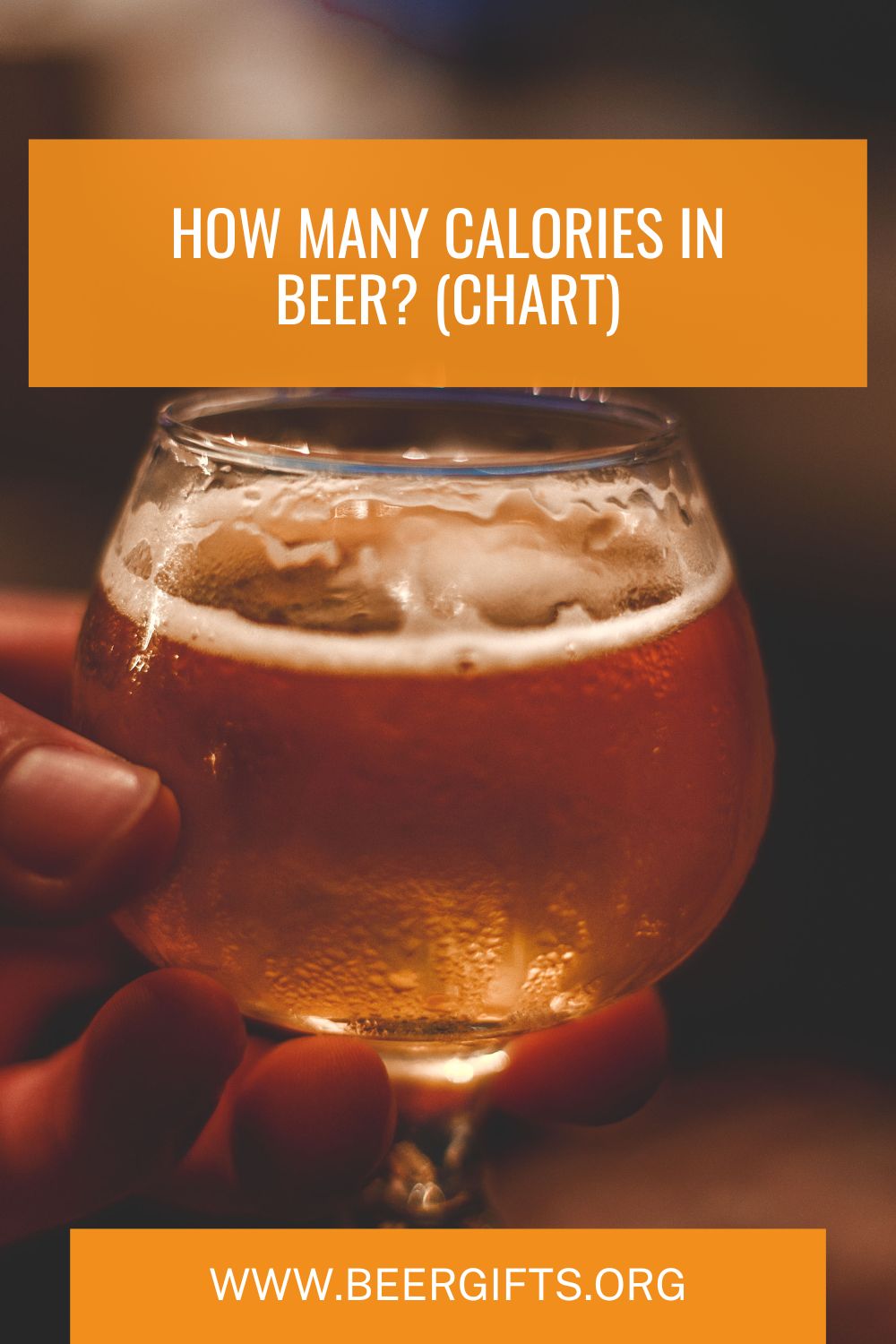 How Many Calories in Beer?9