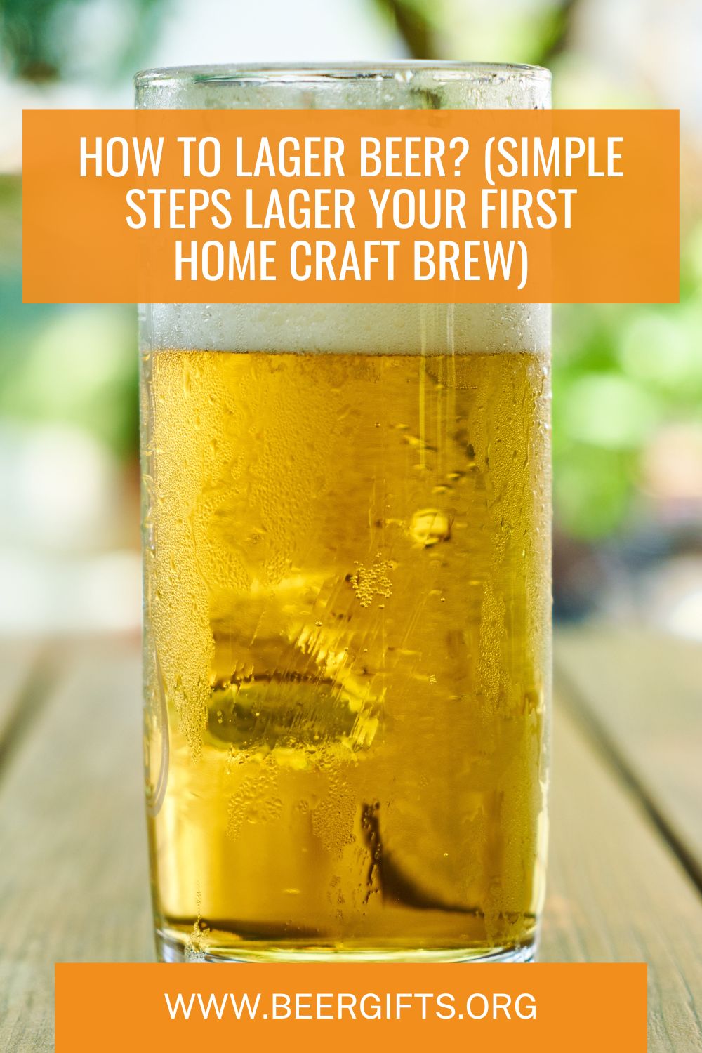 How to Lager Beer?8