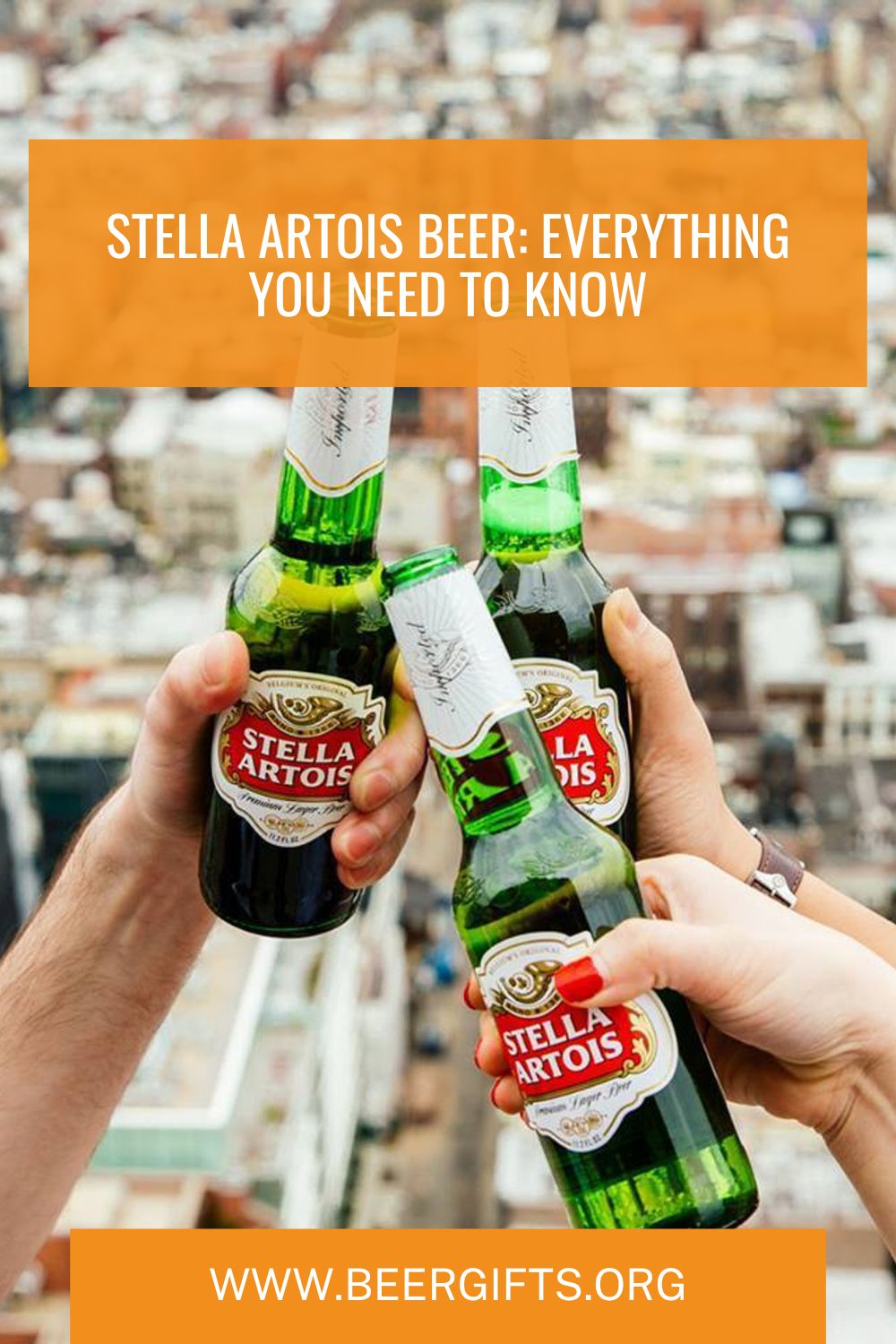 Stella Artois Beer 6