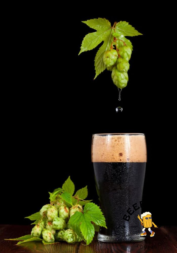 What Are Hops In Beer? (Why Add It?)3