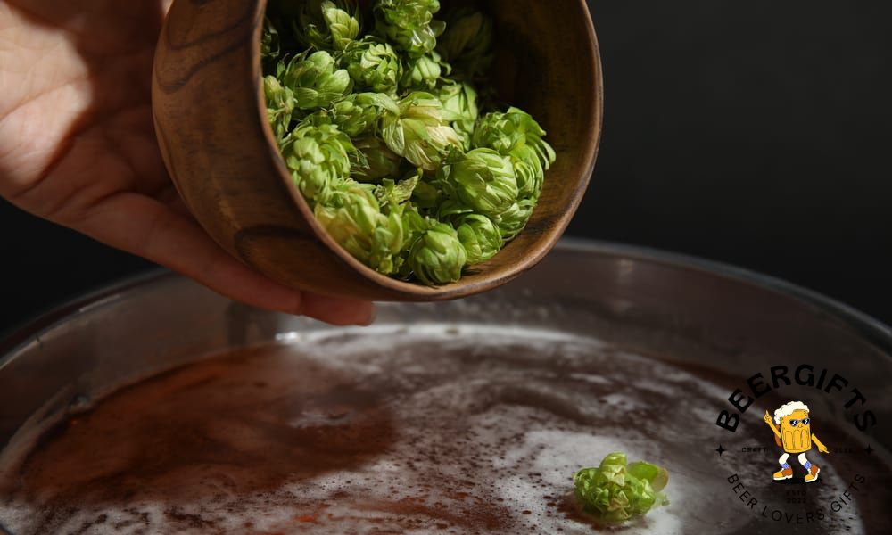 What Are Hops In Beer? (Why Add It?)7