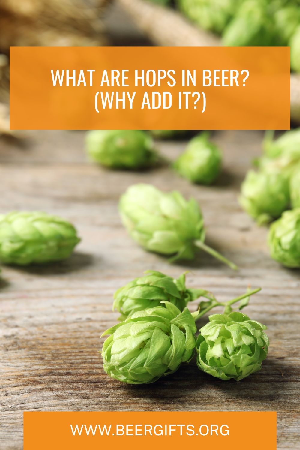What Are Hops In Beer? (Why Add It?)8