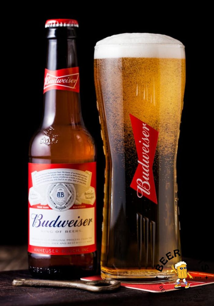 What Is Budweiser? (History & Ingredients)2