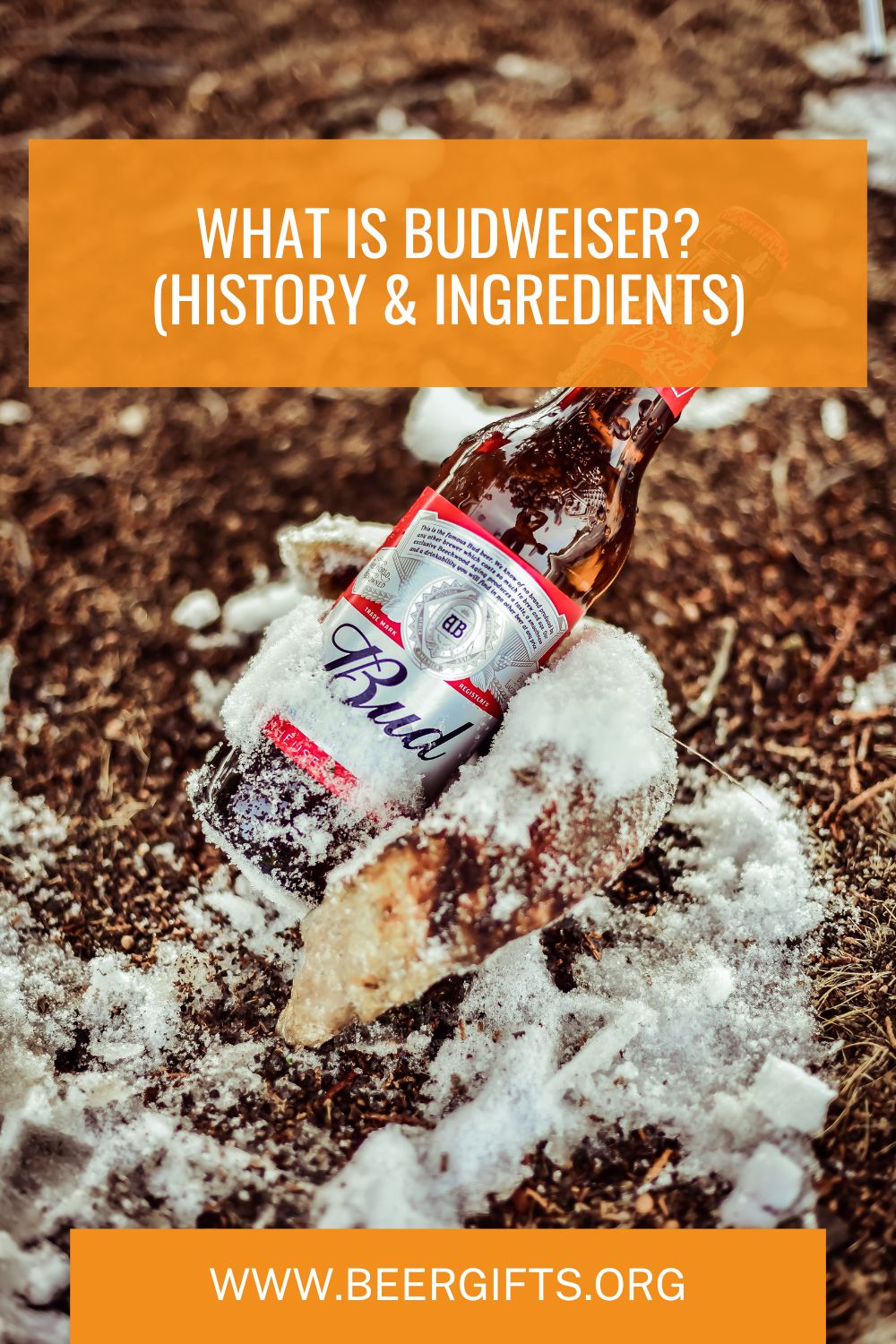 What Is Budweiser? (History & Ingredients)5