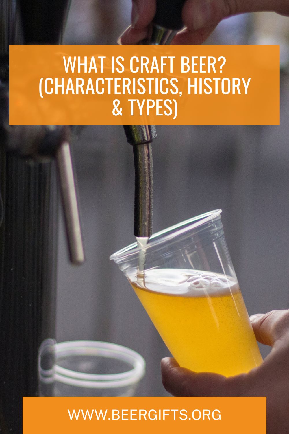 What Is Craft Beer? (Characteristics, History & Types)1
