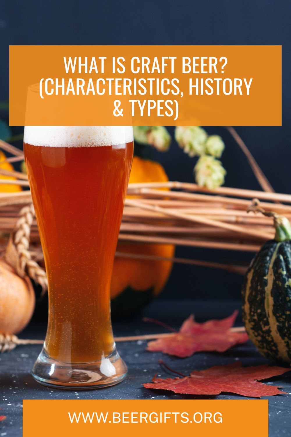 What Is Craft Beer? (Characteristics, History & Types)7