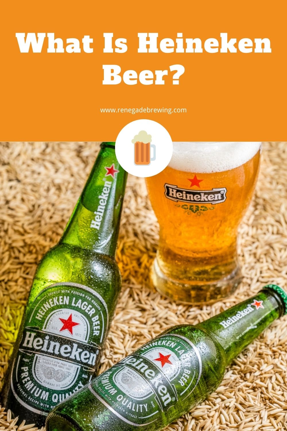What Is Heineken Beer (History, Ingredients & Style) 1