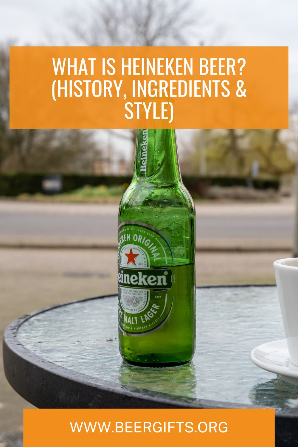 What Is Heineken Beer? (History, Ingredients & Style)1