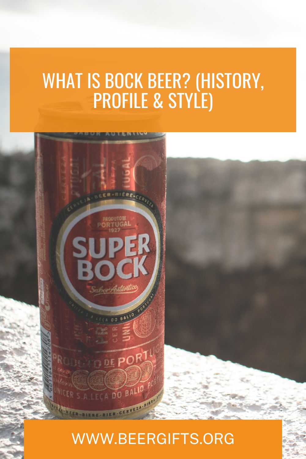 What is Bock Beer 10