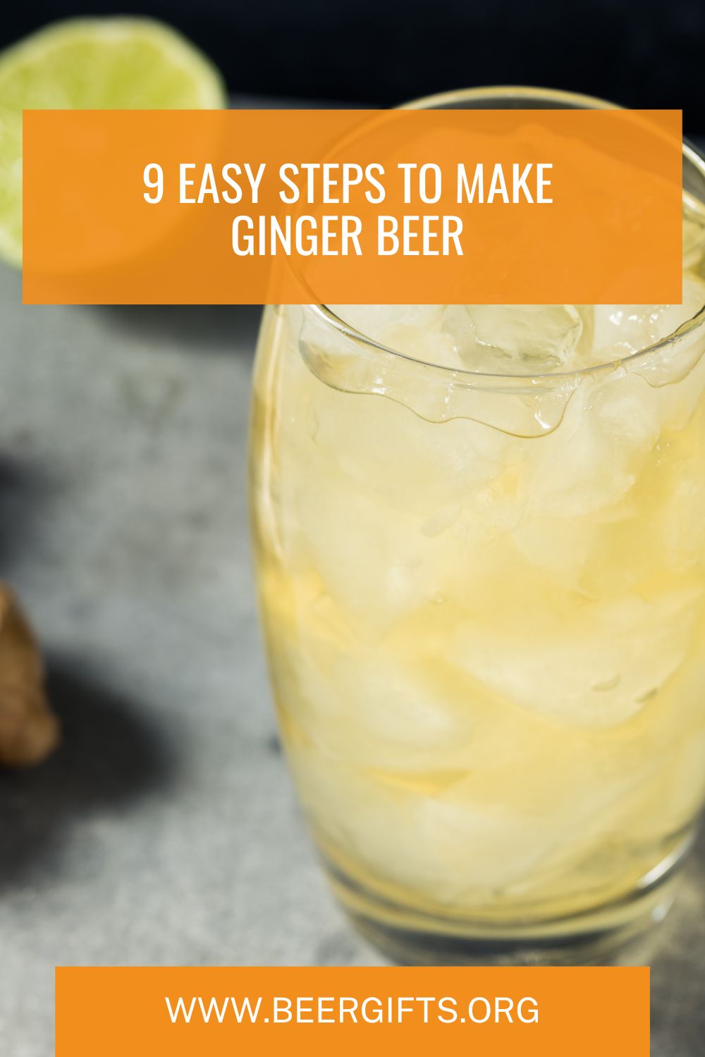 ginger beer recipe 11