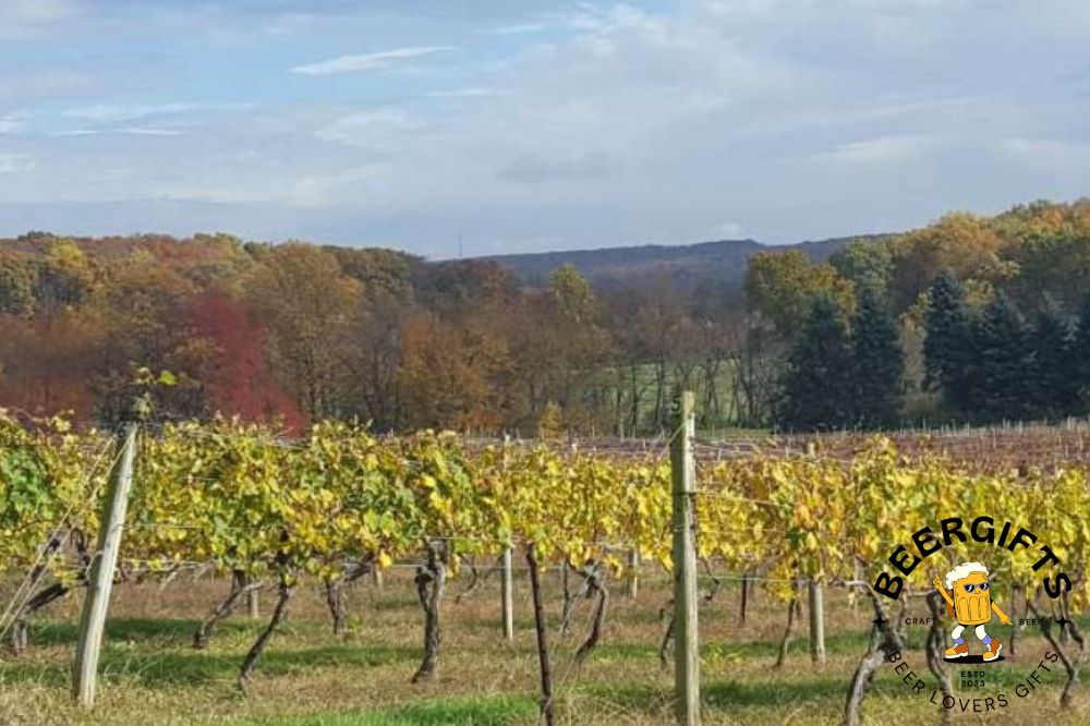 11 Best Wineries In Maryland12