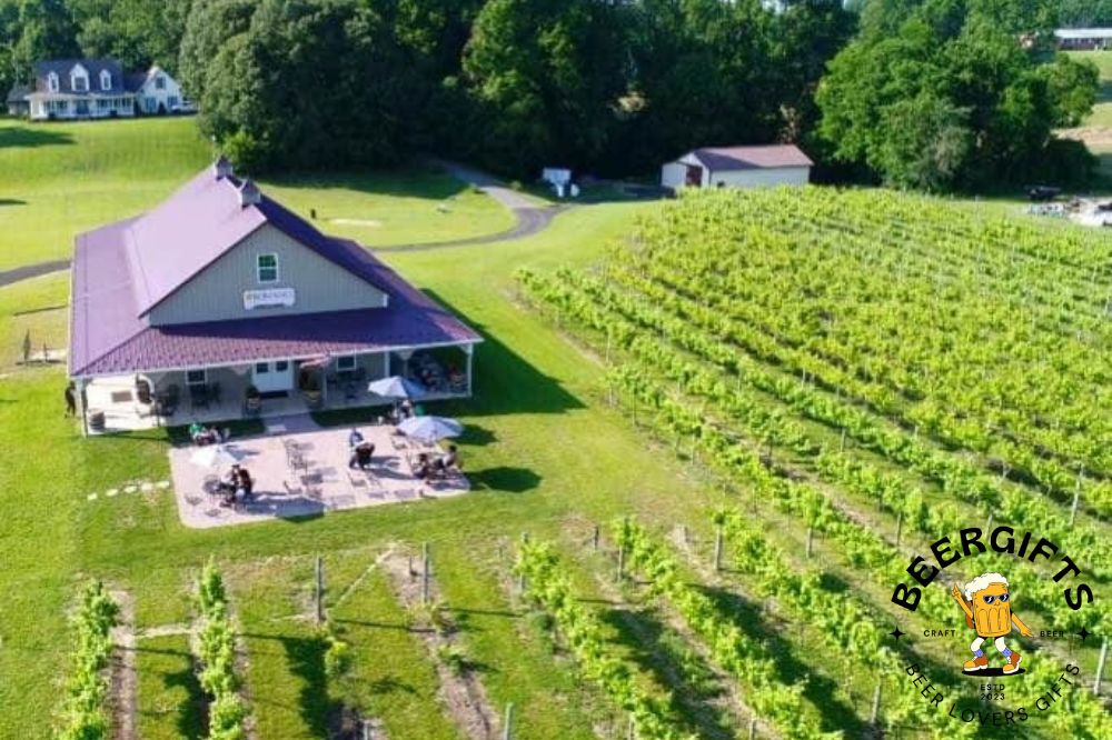 11 Best Wineries In Maryland13