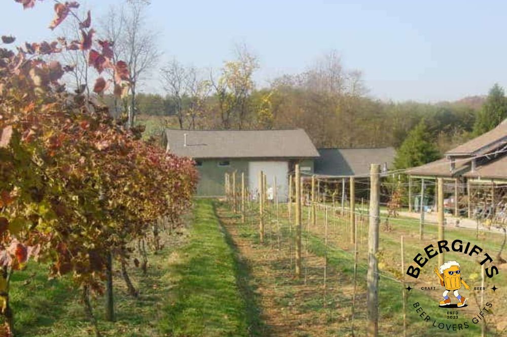 11 Best Wineries In Maryland4