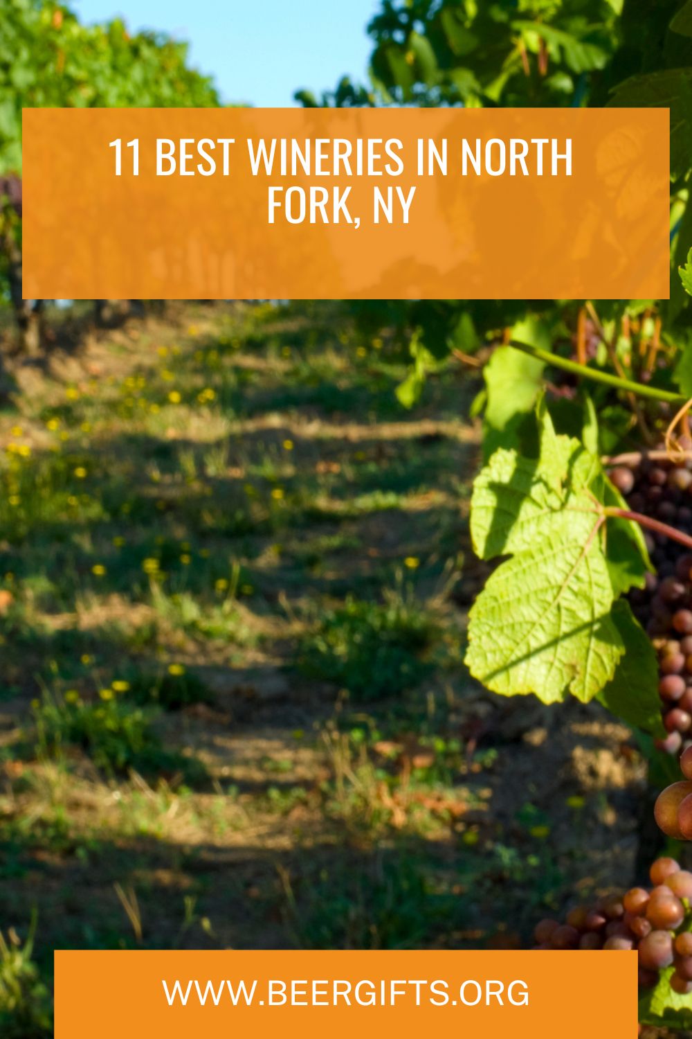 11 Best Wineries In North Fork, NY12