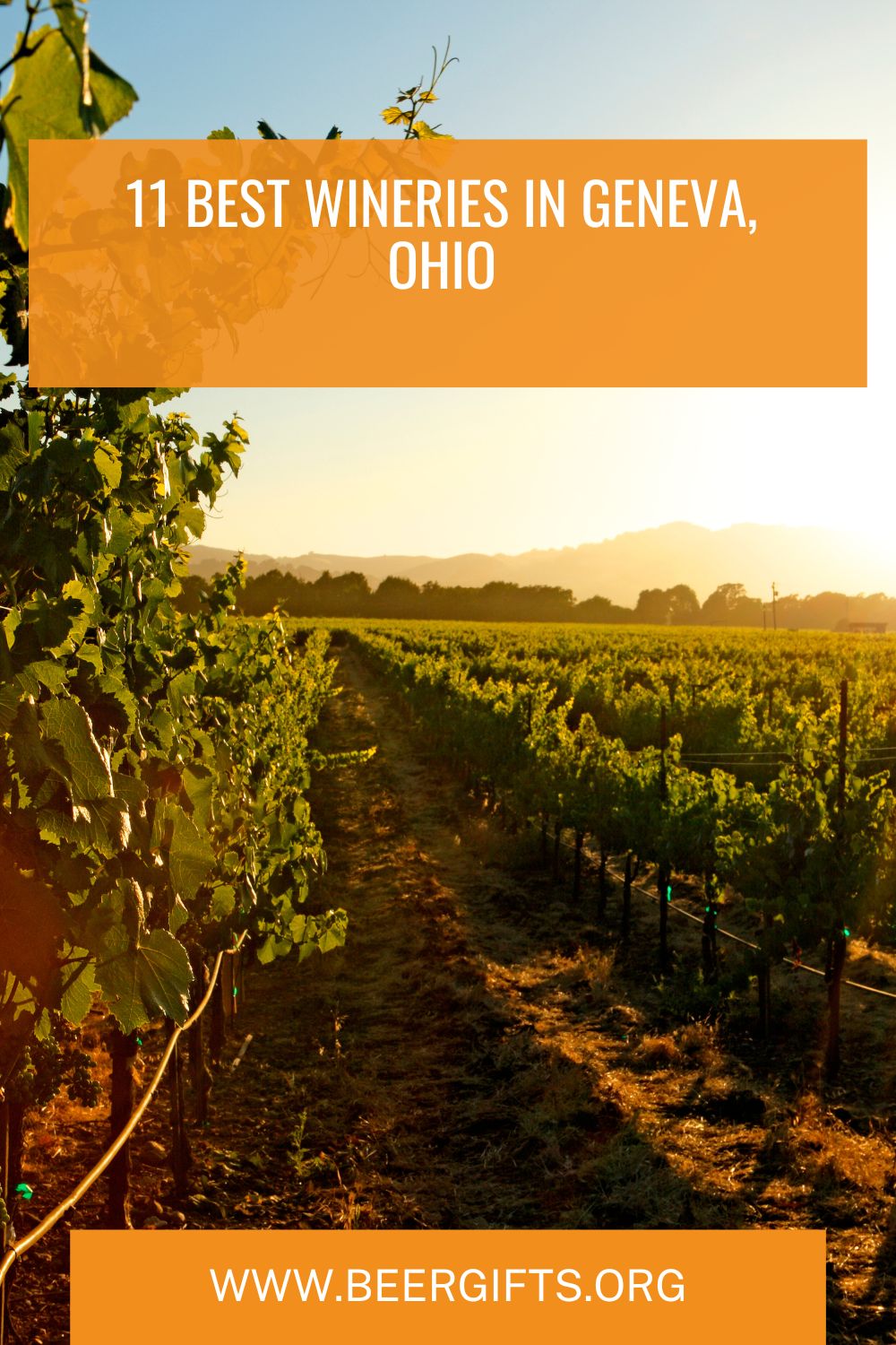 11 Best Wineries in Geneva, Ohio13