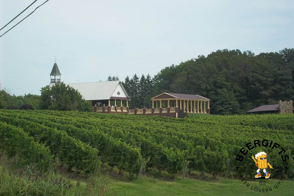 11 Best Wineries in Geneva, Ohio6