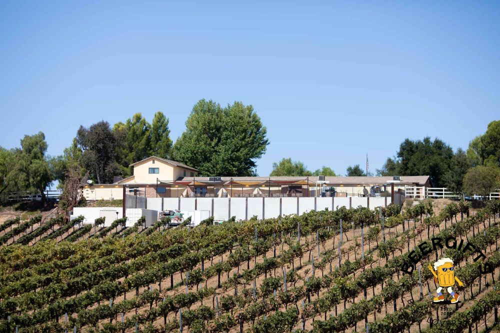 11 Best Wineries in Temecula, CA11