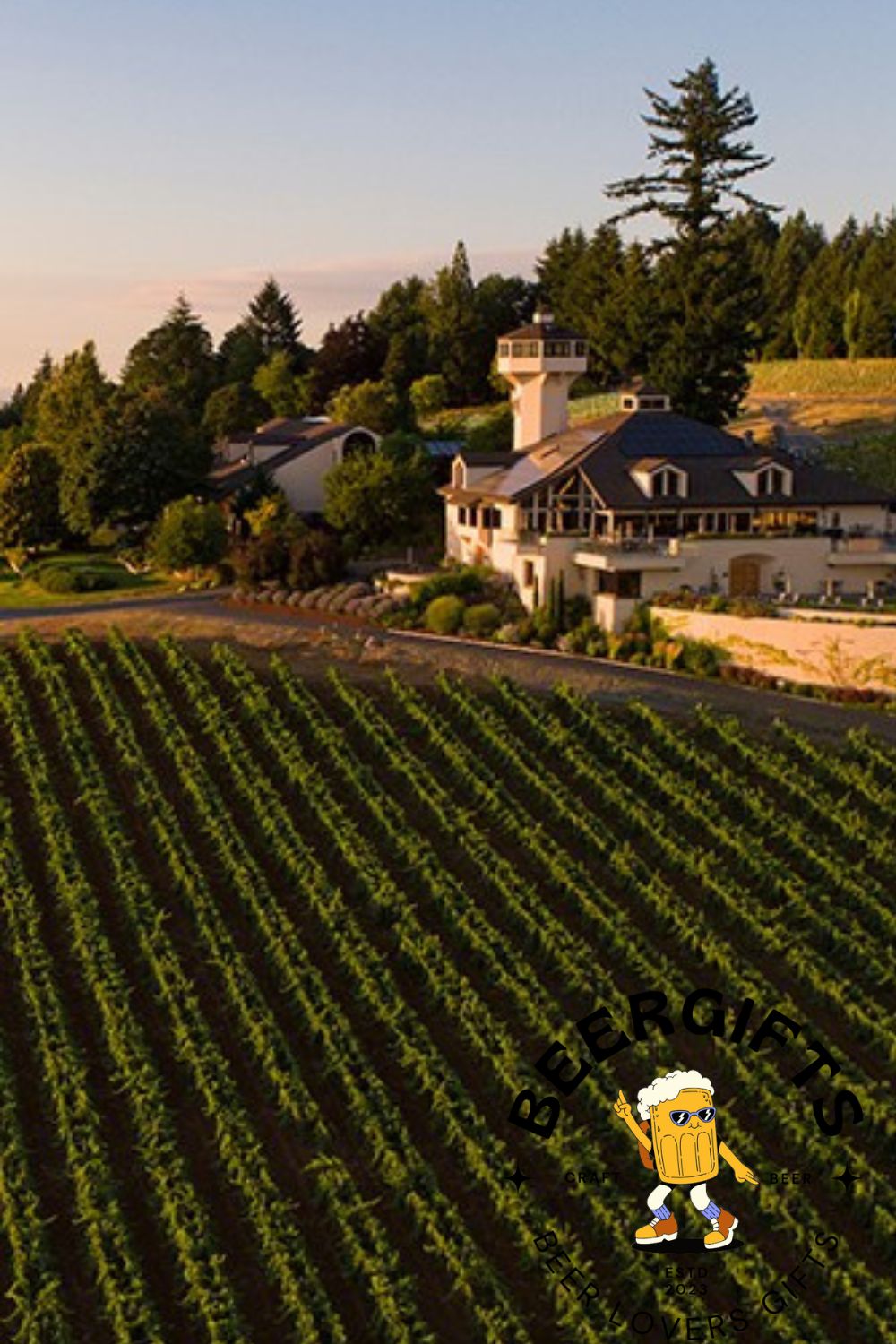 Top 11 Best Wineries In Willamette Valley, OR