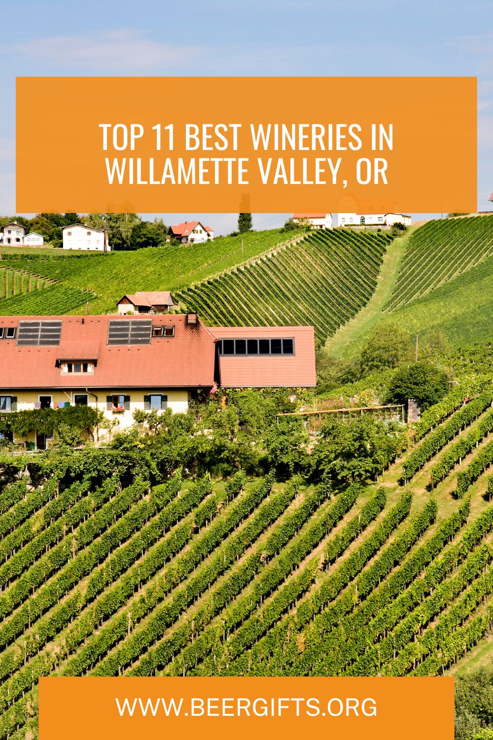 Top 11 Best Wineries In Willamette Valley, OR11