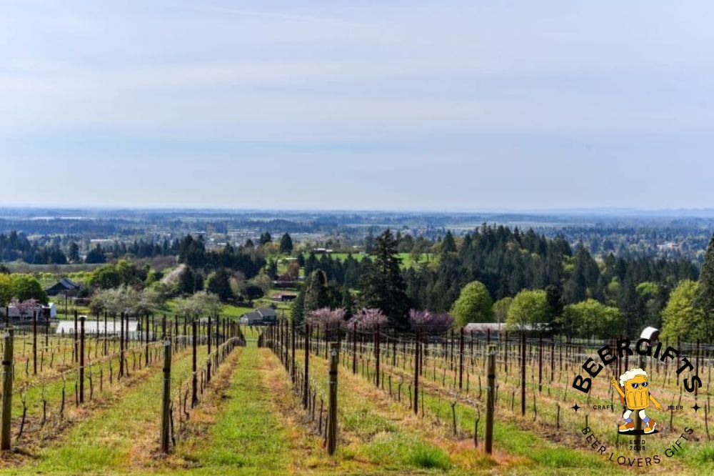Top 11 Best Wineries In Willamette Valley, OR13