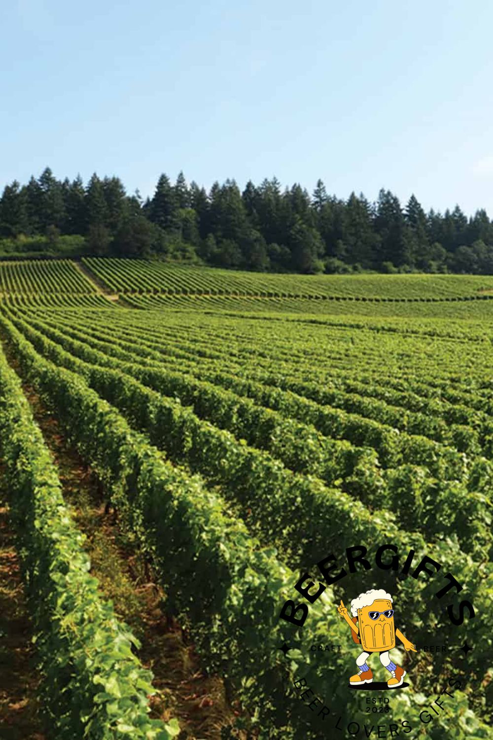 Top 11 Best Wineries In Willamette Valley, OR3