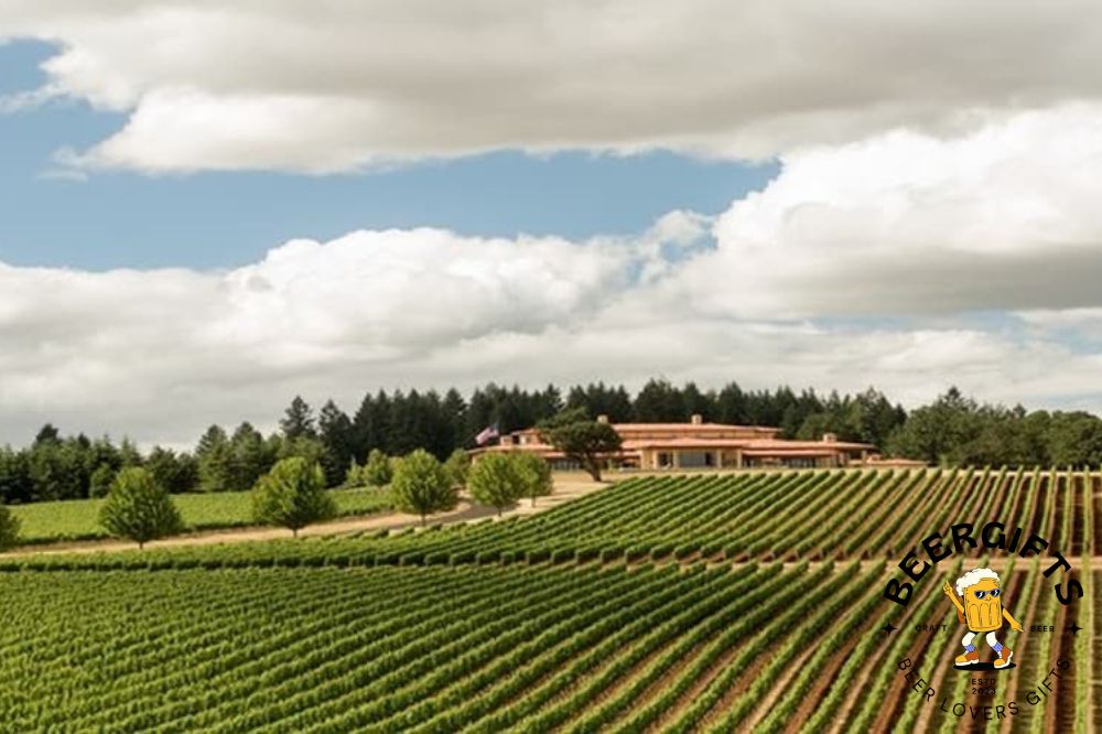 Top 11 Best Wineries In Willamette Valley, OR7