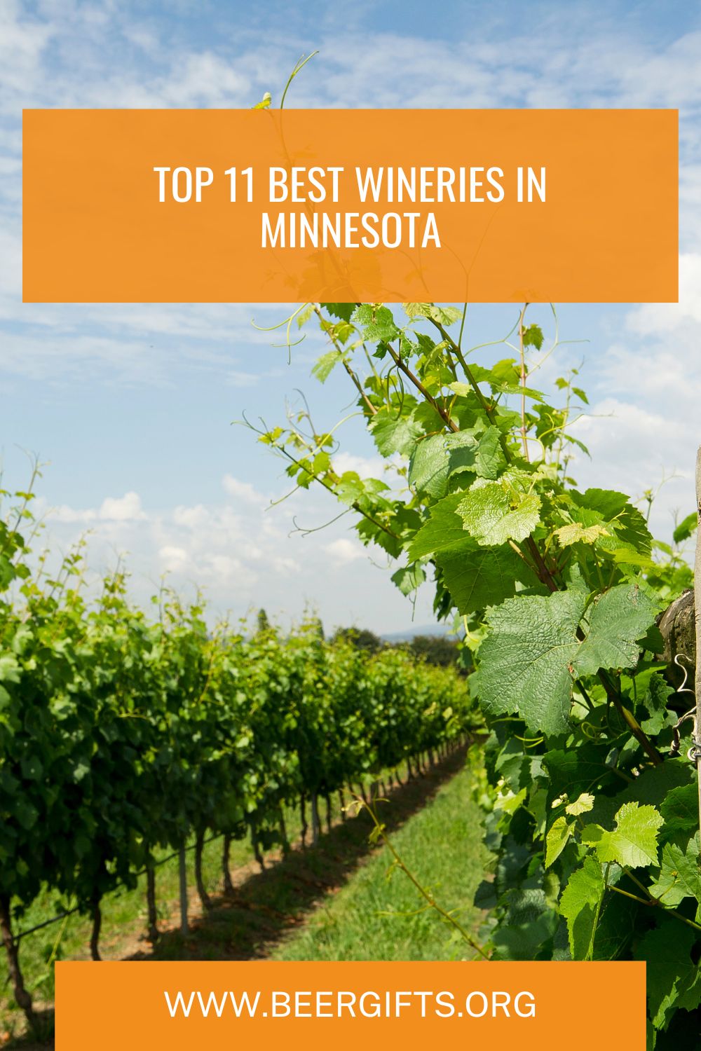 Top 11 Best Wineries in Minnesota 1