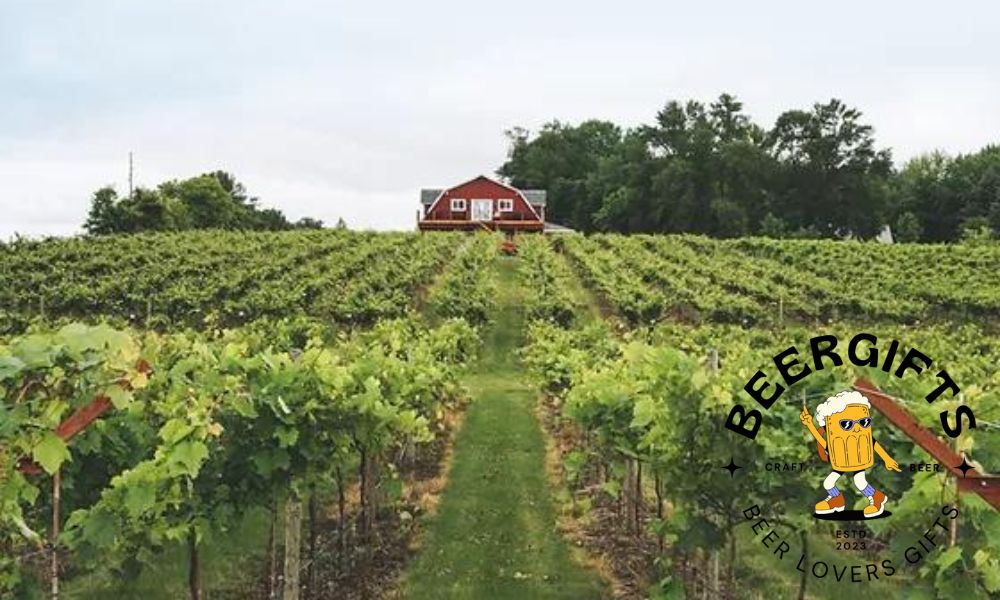 Top 11 Best Wineries in Minnesota 10