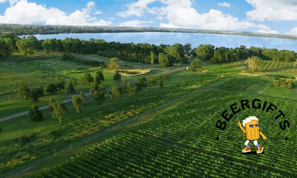 Top 11 Best Wineries in Minnesota 7
