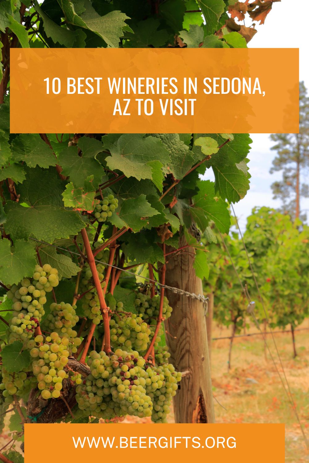 10 Best Wineries In Sedona, AZ to Visit1