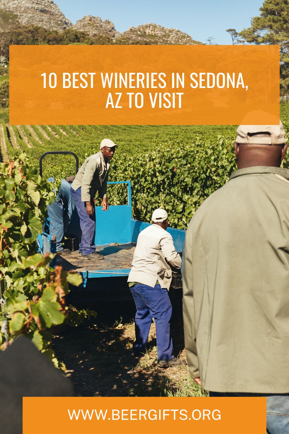 10 Best Wineries In Sedona, AZ to Visit2