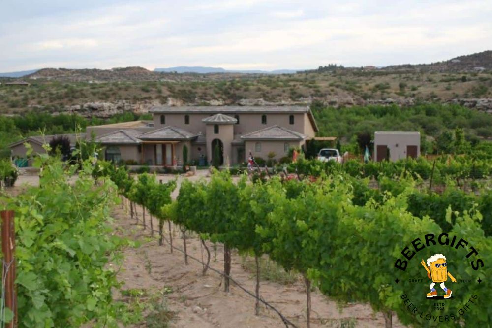 10 Best Wineries In Sedona, AZ to Visit7