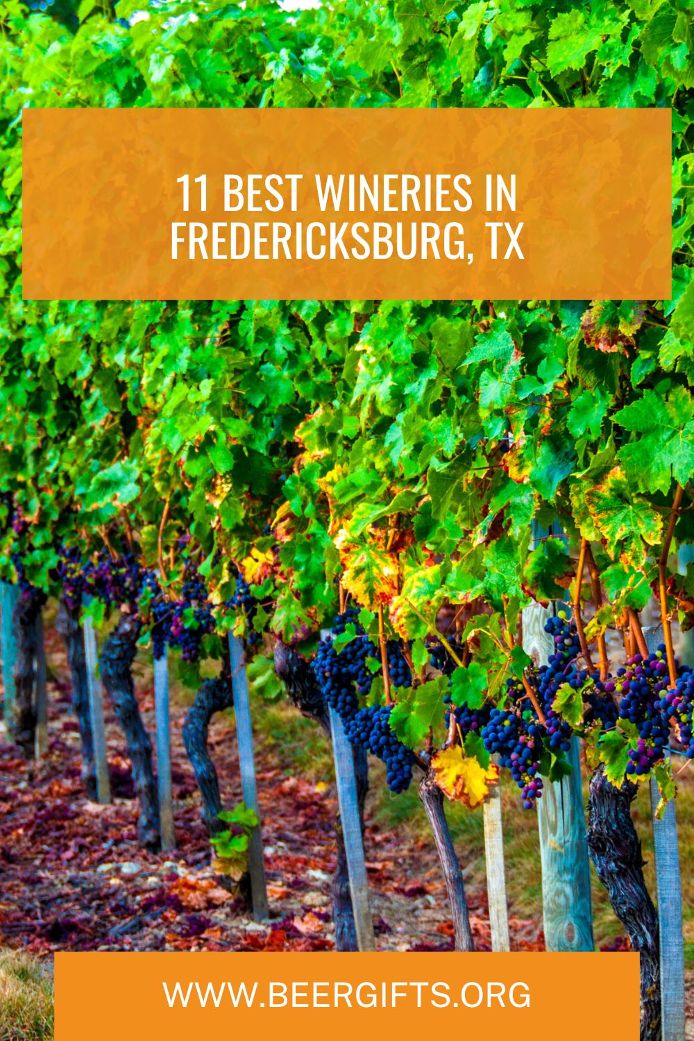 11 Best Wineries in Fredericksburg, TX2