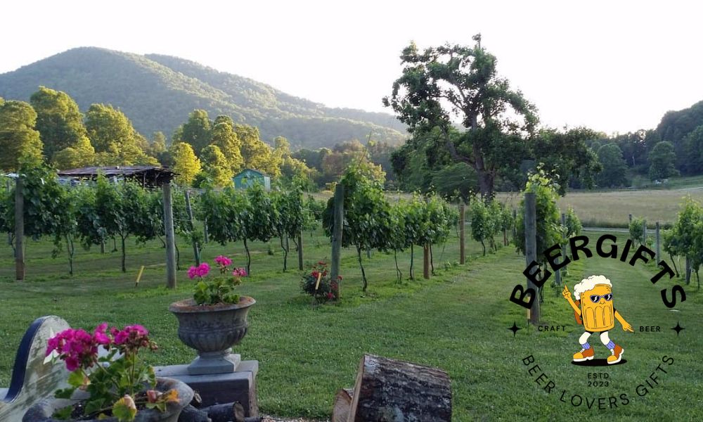 11 Best Wineries in North Georgia to Visit 12