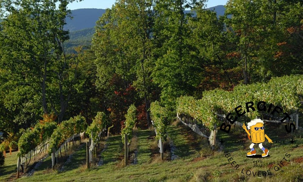 11 Best Wineries in North Georgia to Visit 2