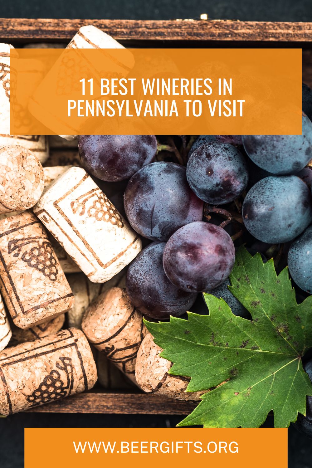 11 Best Wineries in Pennsylvania to Visit